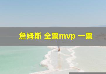 詹姆斯 全票mvp 一票